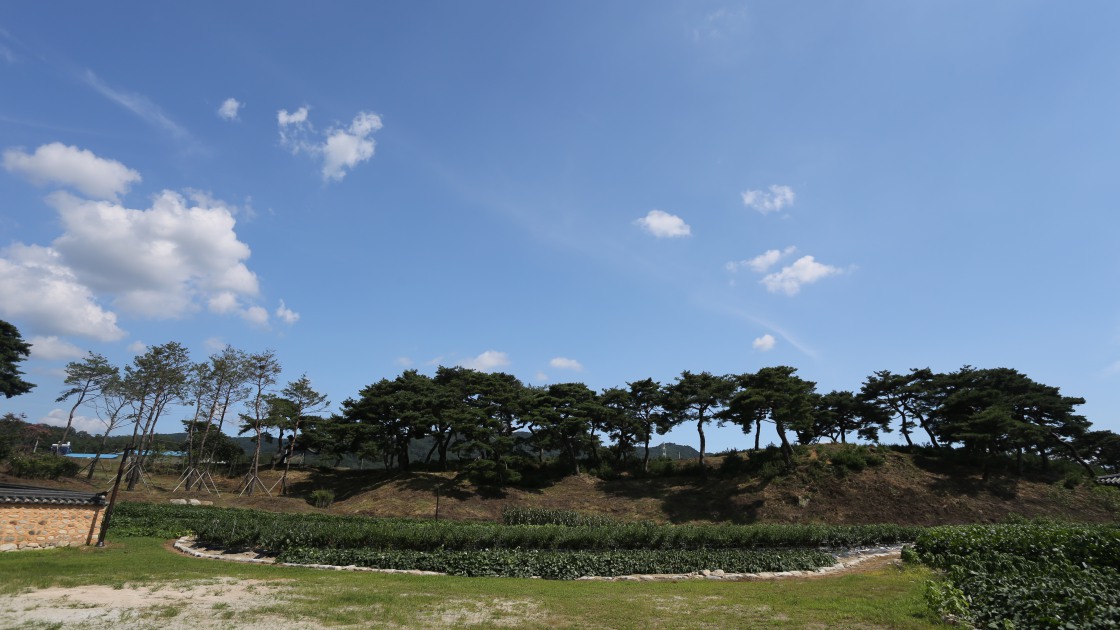 남계서원